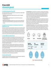 asset pdf thumbnail